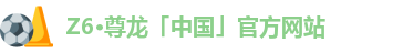 Z6·尊龙